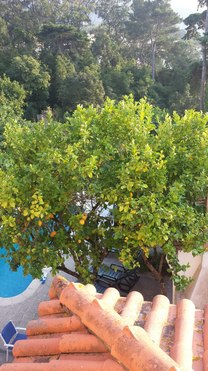 Blick aus dem Fenster der Pension